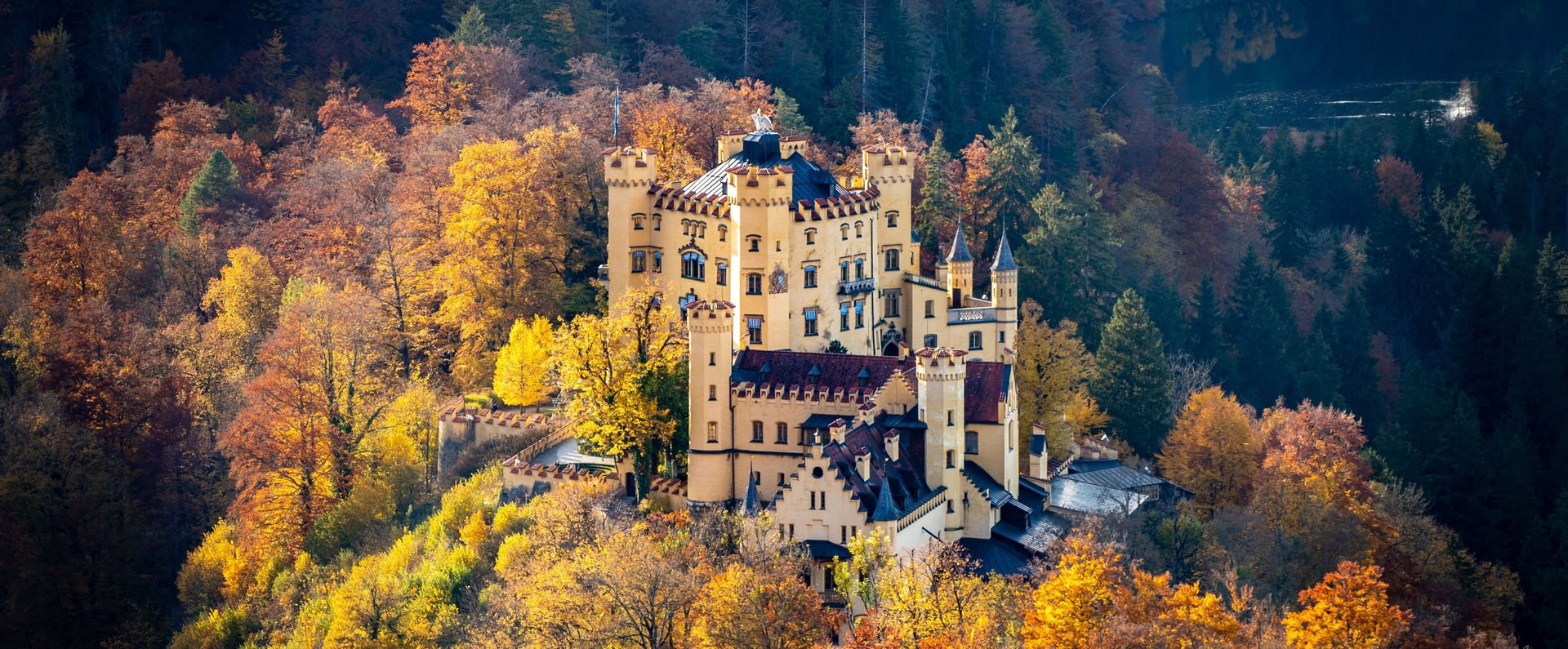 Herbstliche Luftaufnahme von Schloss Hohenschwangau, umgeben von bunt gefärbtem Laubwald.