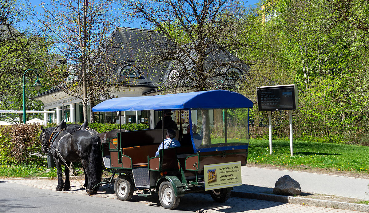 Überdachte  Pferdekutsche mit sitzendem Kutscher und Gästen am Straßenrand, umgeben von grünen Sträuchern und Bäumen.