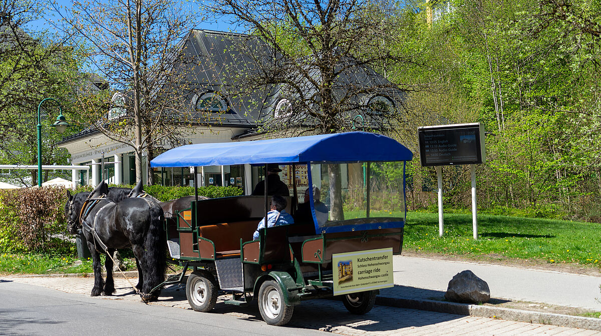 Horse-drawn carriage with seated coachman and tourists at the roadside, surrounded by green bushes and trees.